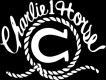 Charlie 1 Horse